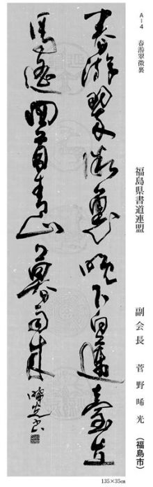 副会長 菅野晞光